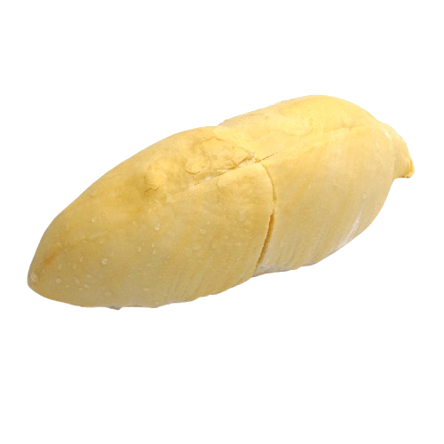 MÚI SR CÓ HẠT CẤP ĐÔNG