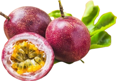 CHANH DÂY XUẤT KHẨU