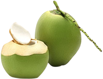 DỪA XIÊM NGUYÊN TRÁI XUẤT KHẨU