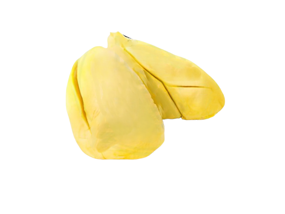 MÚI SR TÁCH HẠT CẤP ĐÔNG