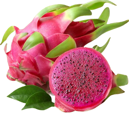 THANH LONG RUỘT ĐỎ