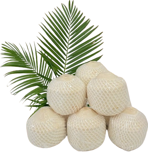 DỪA GỌT KIM CƯƠNG XUẤT KHẨU