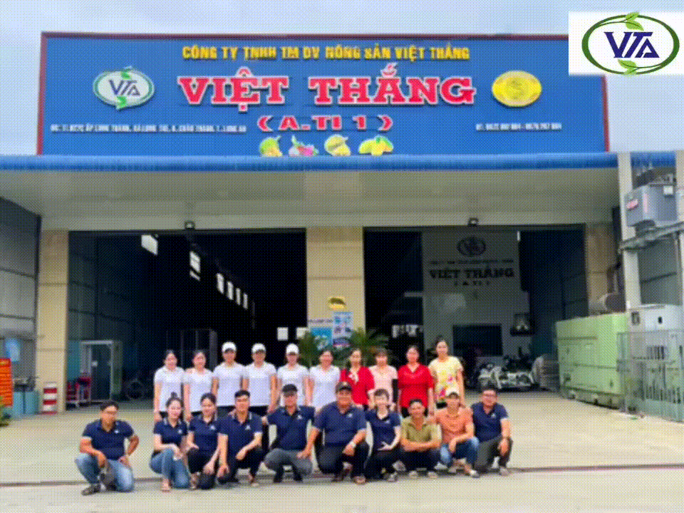 Lịch sử hình thành